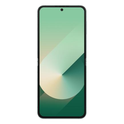 Смартфон Samsung Galaxy Z Flip6 12 ГБ | 256 ГБ (Мятный | Mint)